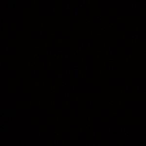 Meet your Posher, Corey